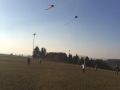 IMG-20181020-WA0008